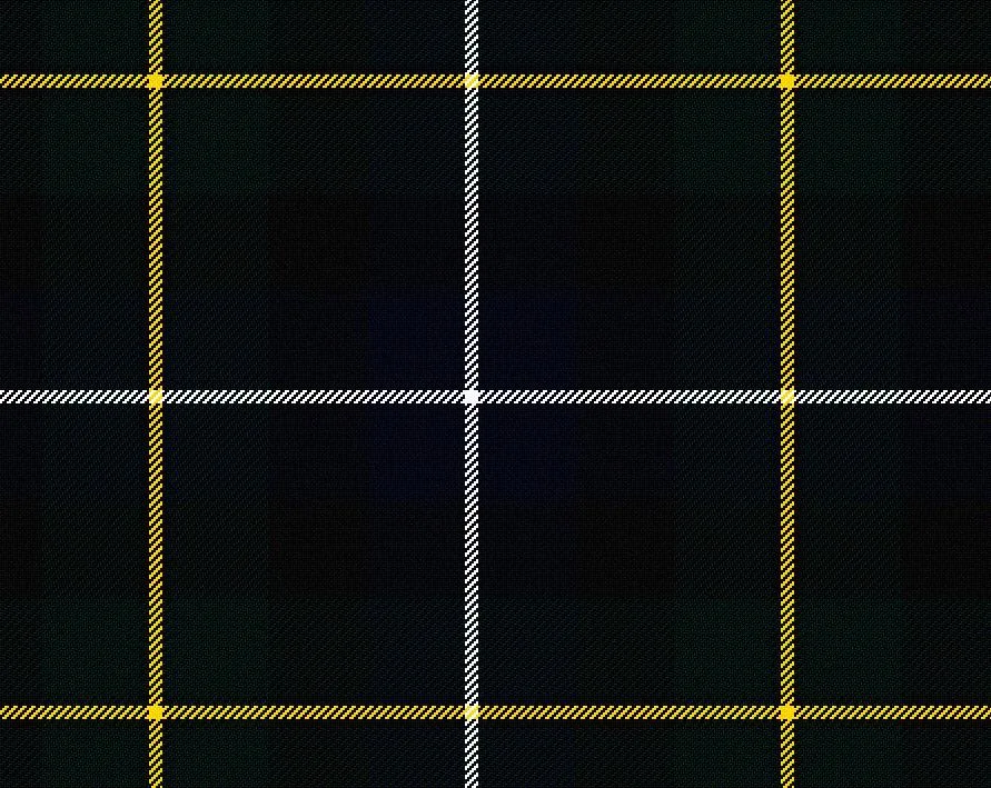 MacNeil Modern Tartan Scarf